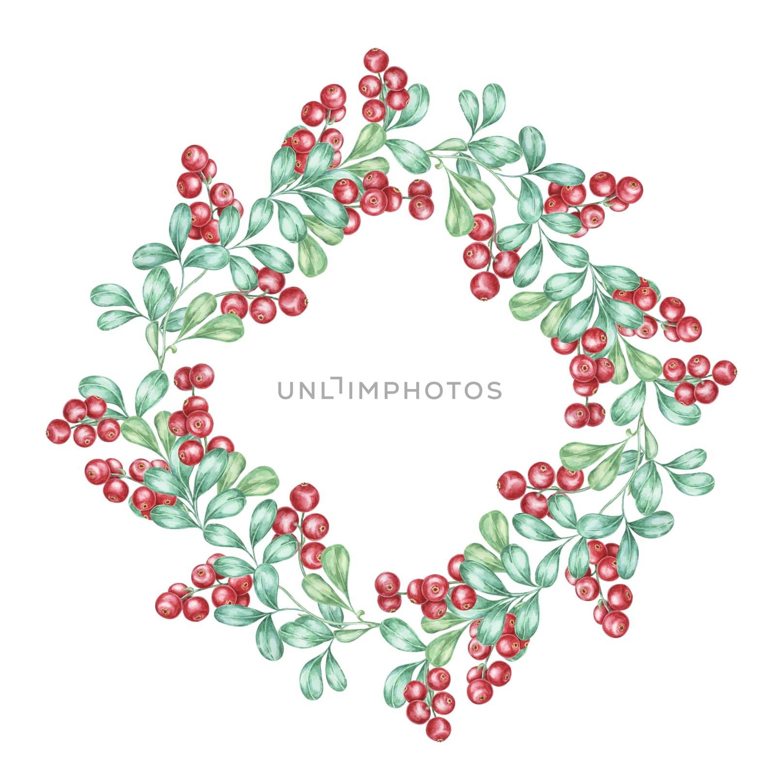Cowberry watercolor clipart frame showcasing lush green leaves and bright red berries in a circular border. Ideal for Christmas cards, holiday decor, and seasonal event invitations