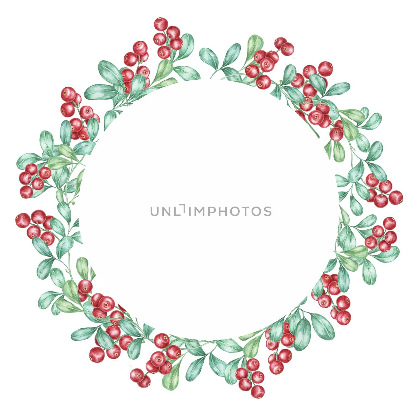 Red berries watercolor clipart frame with vibrant cranberries and green leaves forming a circular border. Ideal for festive greeting cards, holiday-themed digital designs, and seasonal decor
