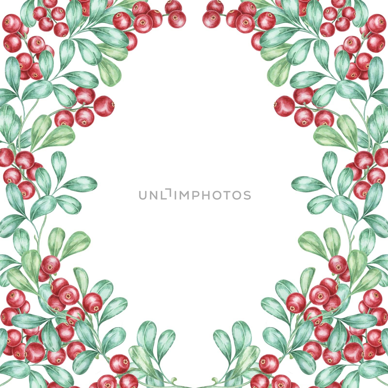 Cowberry watercolor clipart frame featuring green leaves and bright red berries in a rectangular border. Lingonberry Perfect for Christmas invitations, holiday decor, and seasonal digital projects