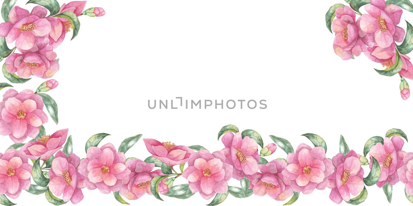 Pink camellia japonica flowers banner. Botanical watercolor clipart. This elegant floral design is suitable for creating wedding invitations, posters, and website embellishments