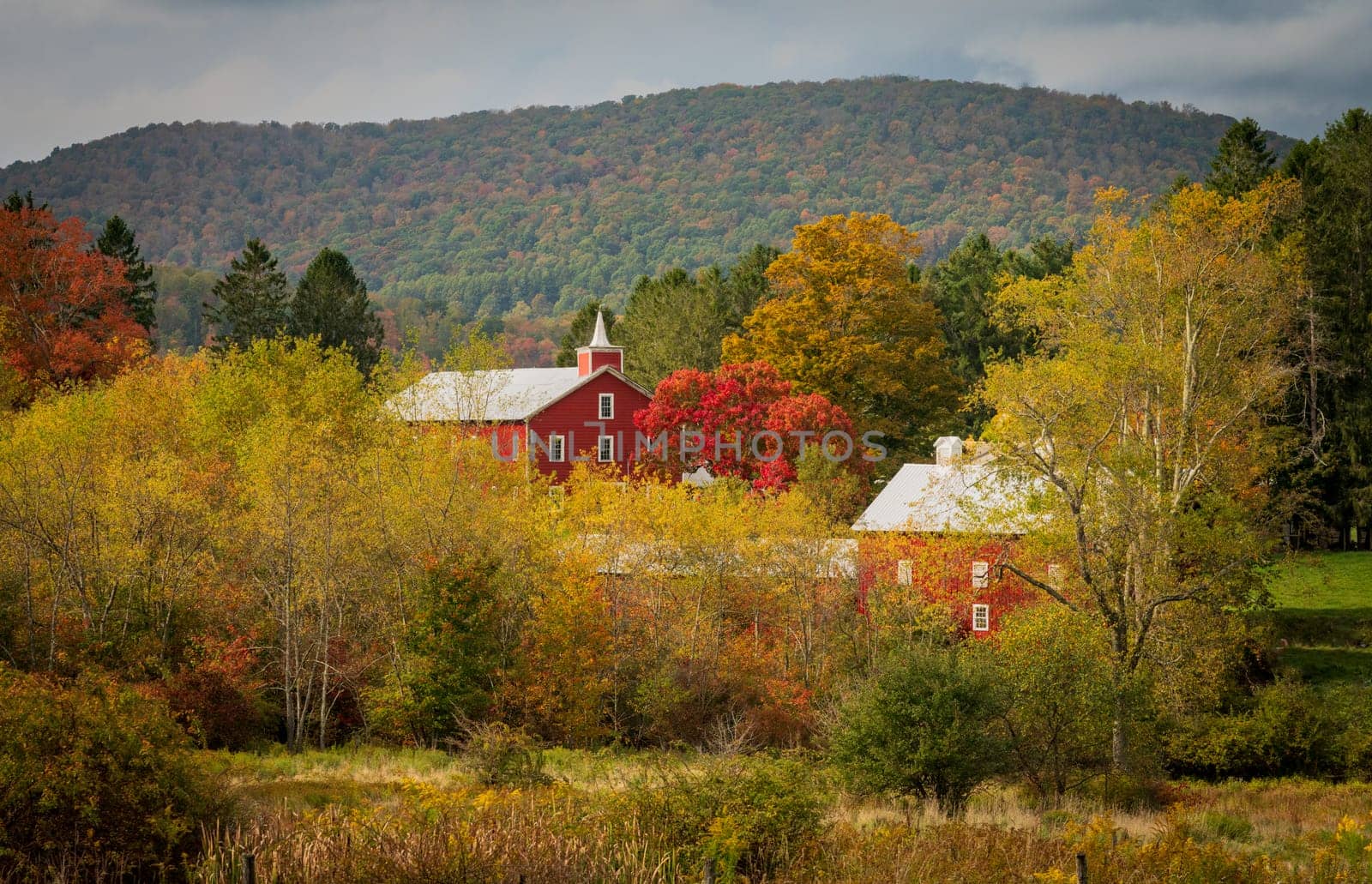 Historic red barn and farm nestled in fall colors in West Virginia by steheap