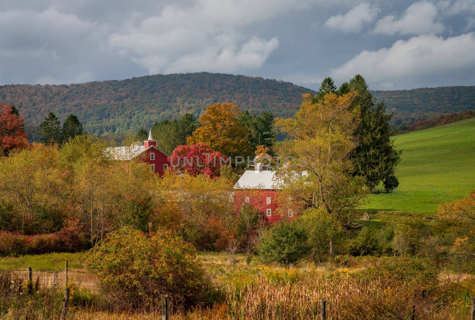 Historic red barn and farm buildings nestled in the trees in autumn near Aurora in West Virginia in the fall