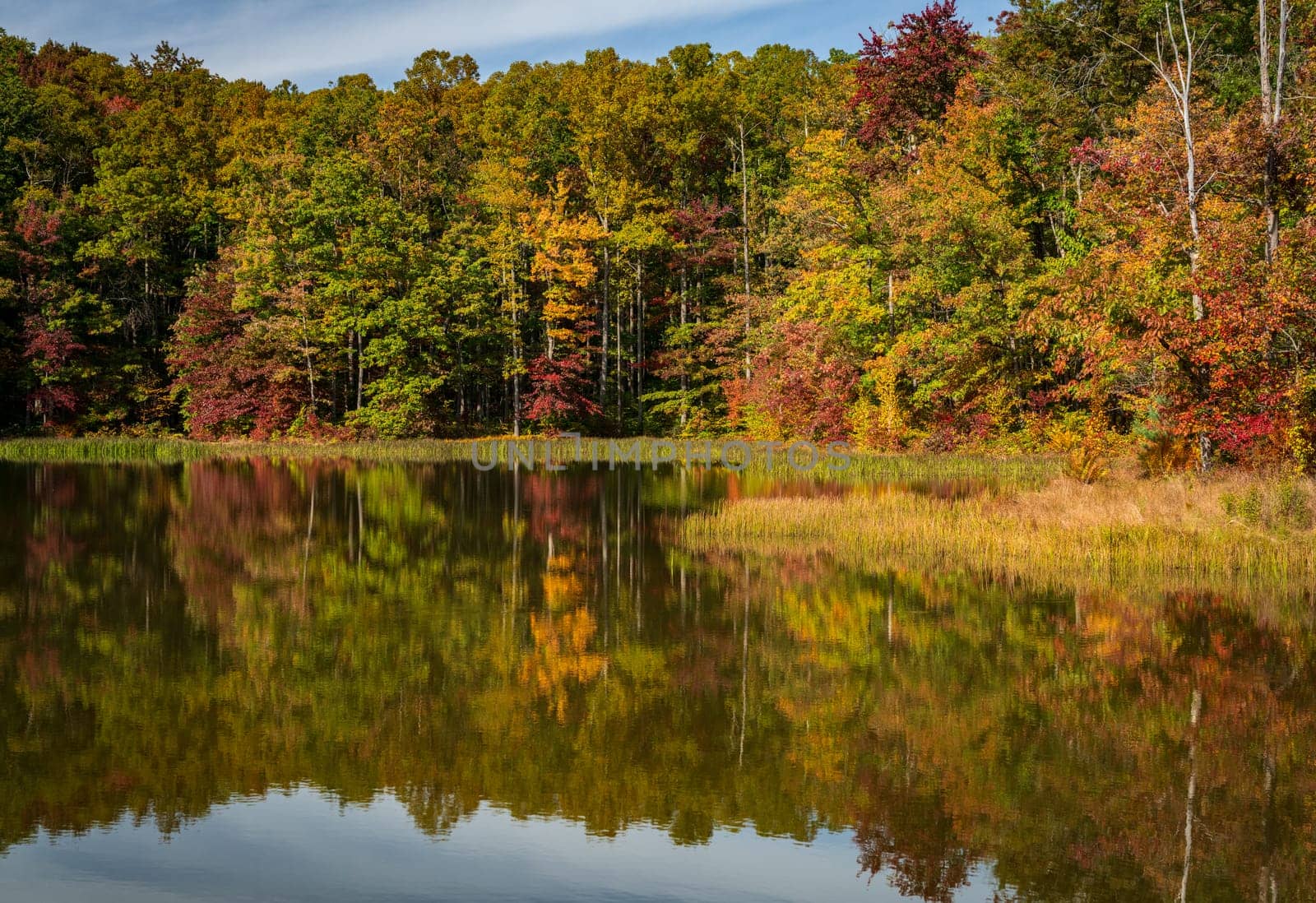 Changing leaves in autumn reflected in calm reservoir in Coopers Rock State Forest near Morgantown, WV