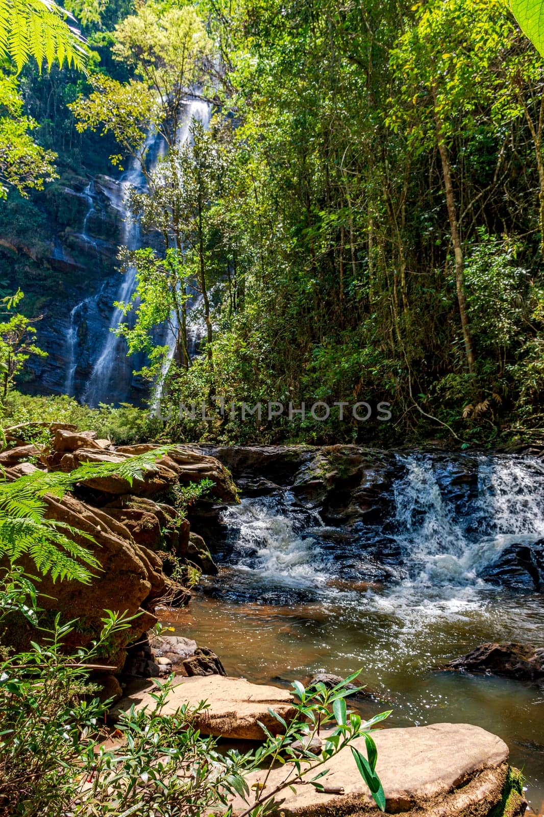 River and waterfall through dense rainforest vegetation in the state of Minas Gerais, Brazil