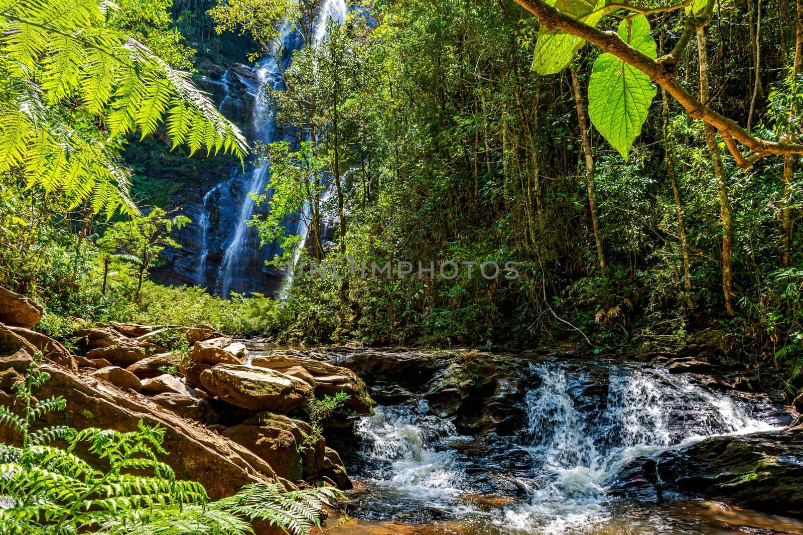Rivers and waterfalls through dense forest vegetation in the state of Minas Gerais, Brazil