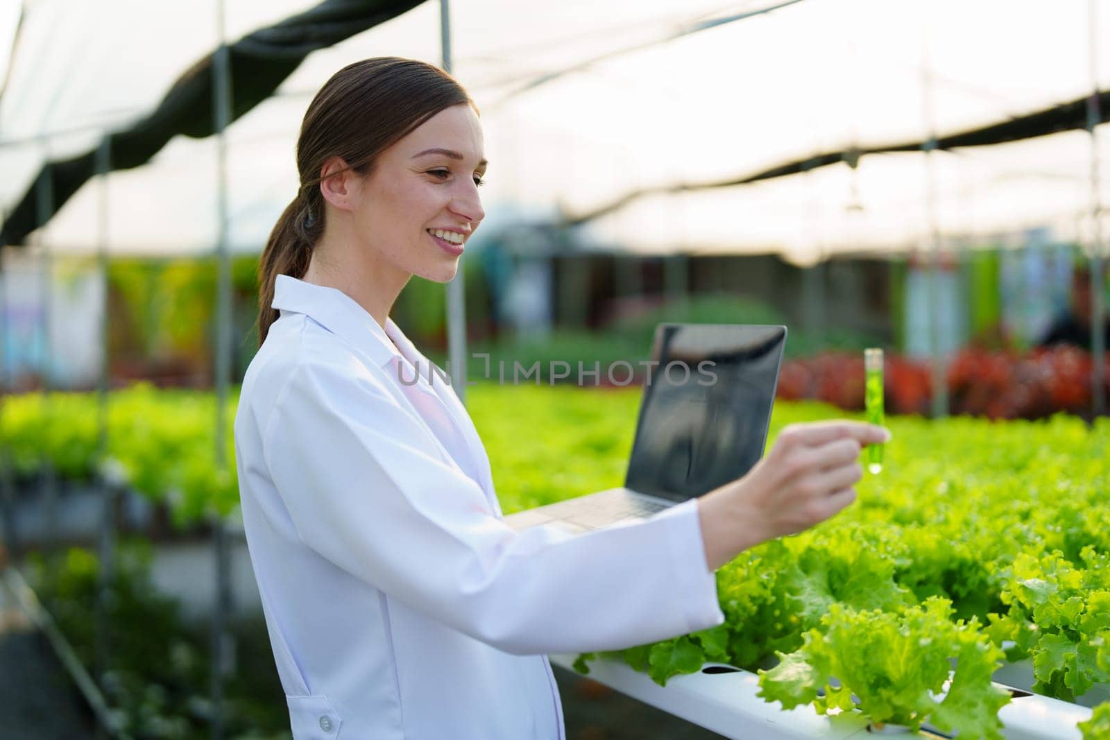 Woman Farmer harvesting vegetable and audit quality from hydroponics farm. Organic fresh vegetable, Farmer working with hydroponic vegetables garden harvesting, small business concepts. by Manastrong