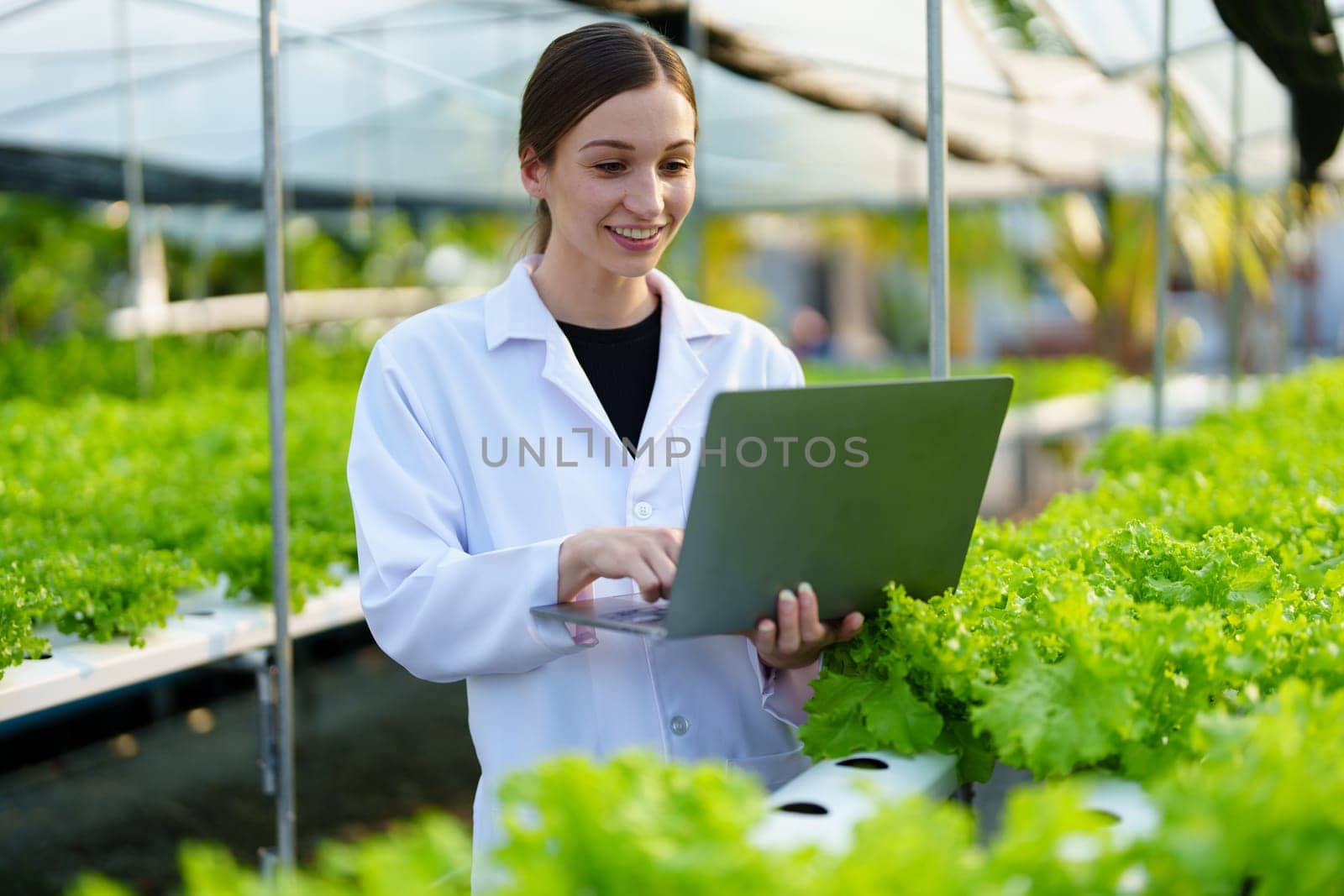 Woman Farmer harvesting vegetable and audit quality from hydroponics farm. Organic fresh vegetable, Farmer working with hydroponic vegetables garden harvesting, small business concepts. by Manastrong