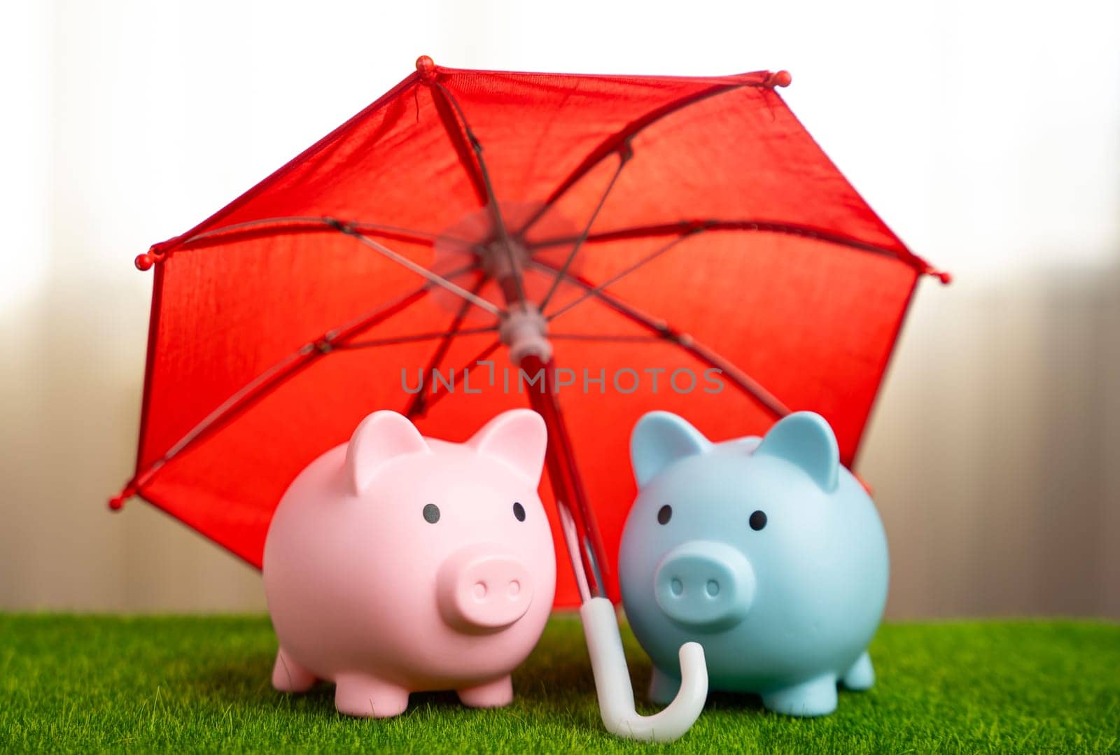 A loving couple of piggy banks under a red umbrella. Insurance and service. Investment and financial well-being protection. Family budget. Banking and finance.