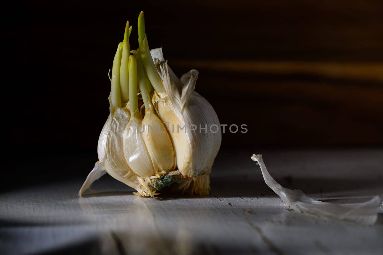 A garlic bulb with fresh green shoots stands prominently, illuminated by soft light in a rustic environment.