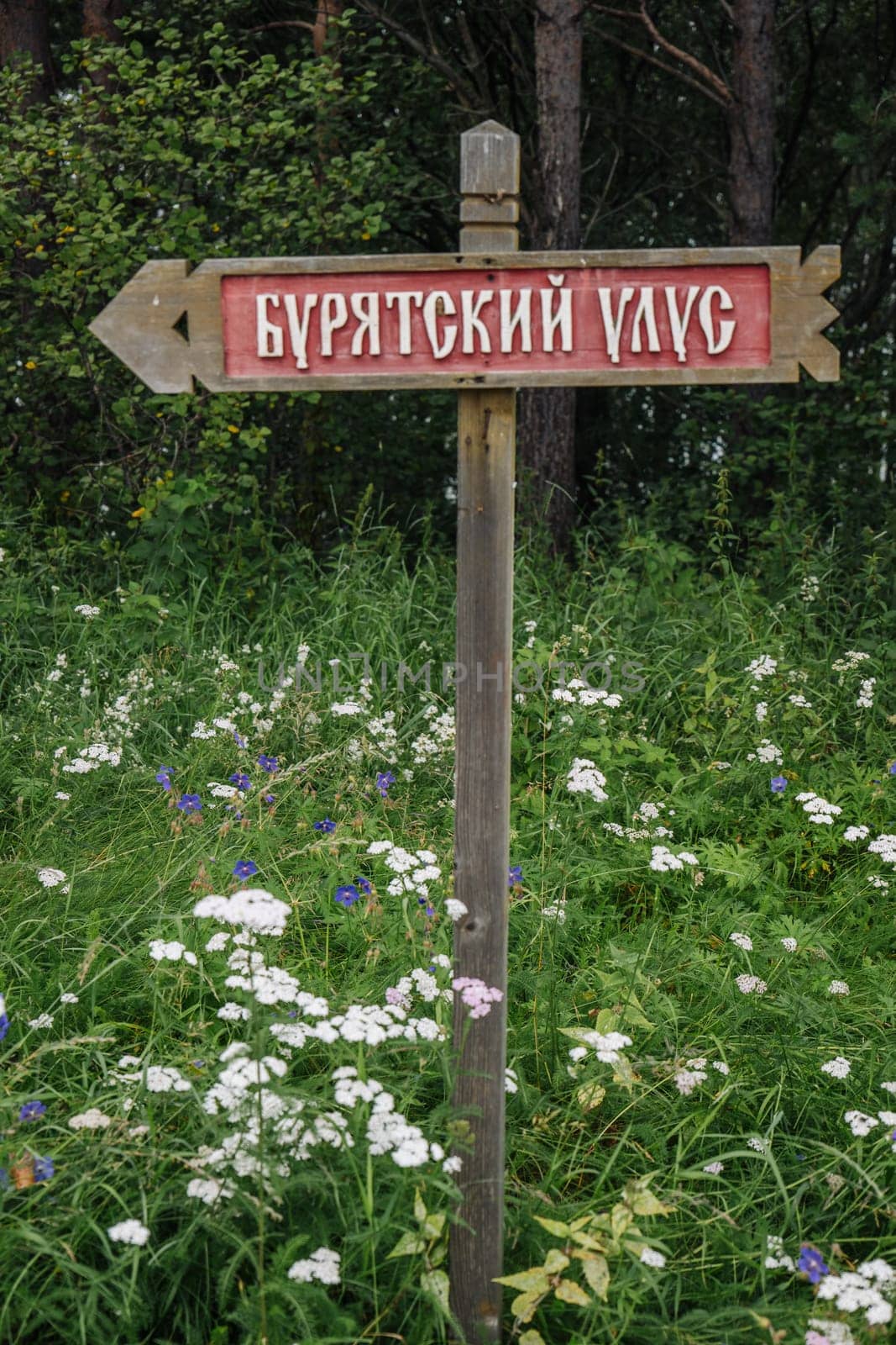 Wooden sign with the inscription buryat village in russian, pointing to the left, surrounded by wildflowers in a siberian forest