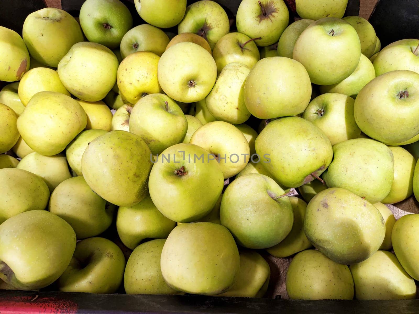 Various green apples are stacked together in a market, emphasizing their freshness and inviting customers to purchase.