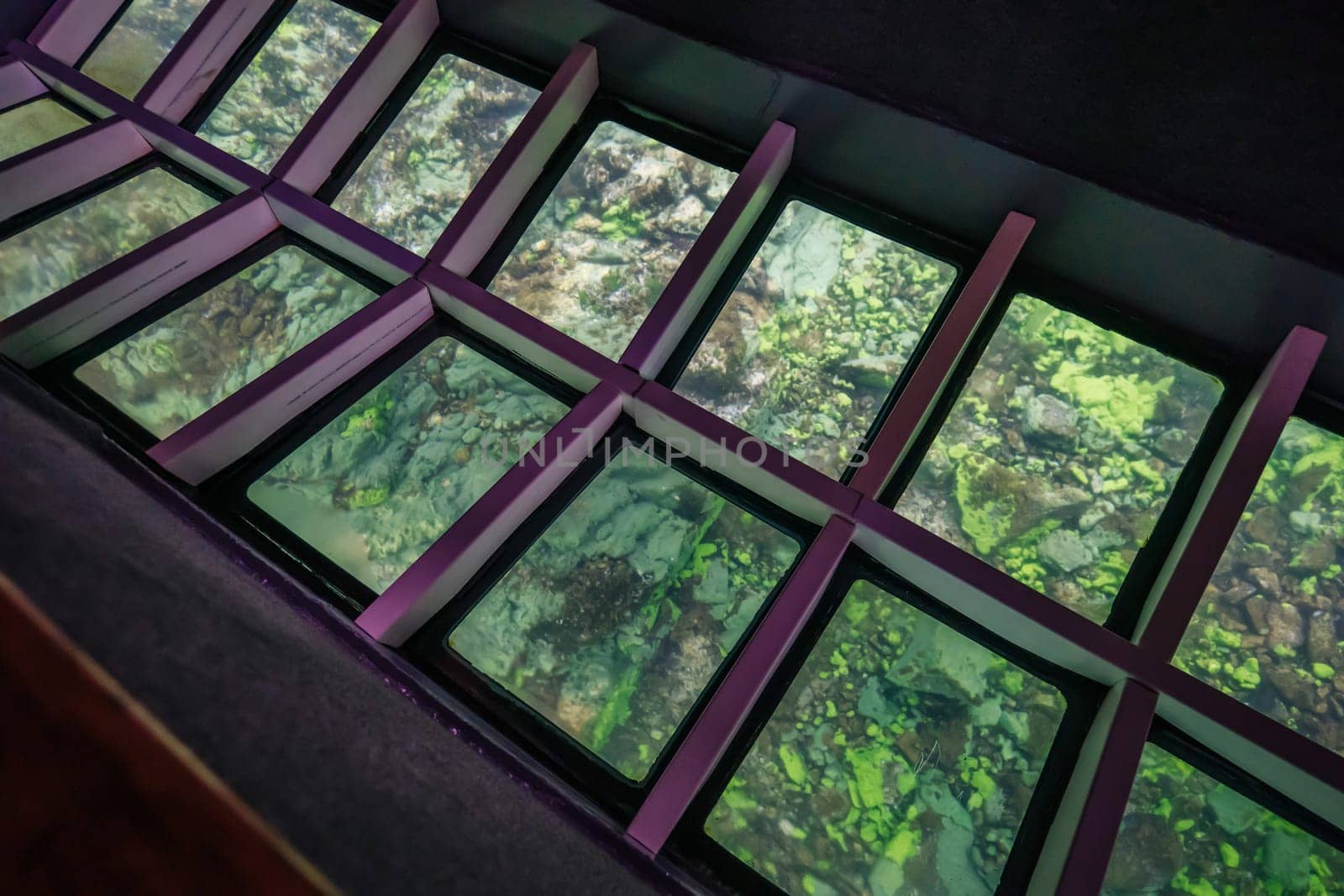 Glass bottom boat revealing rocky seafloor covered with swaying green algae through transparent panels