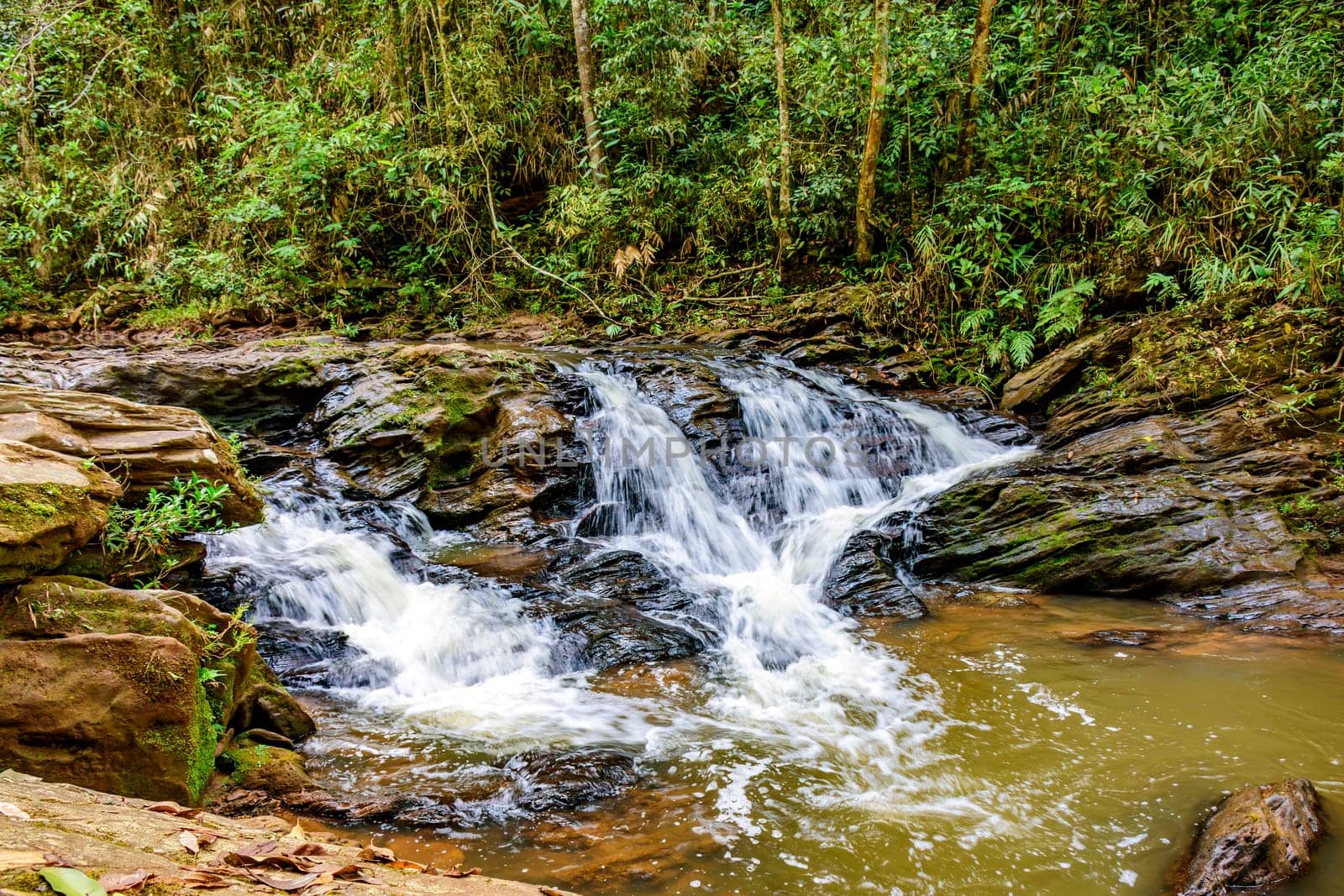 River inside forest in Minas Gerais state, Brazil