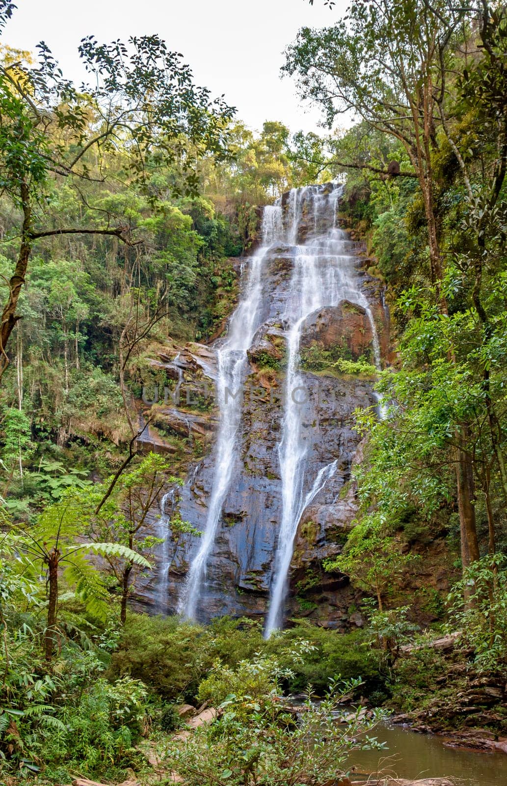 Waterfall within the rainforest of the state of Minas Gerais, Brazil