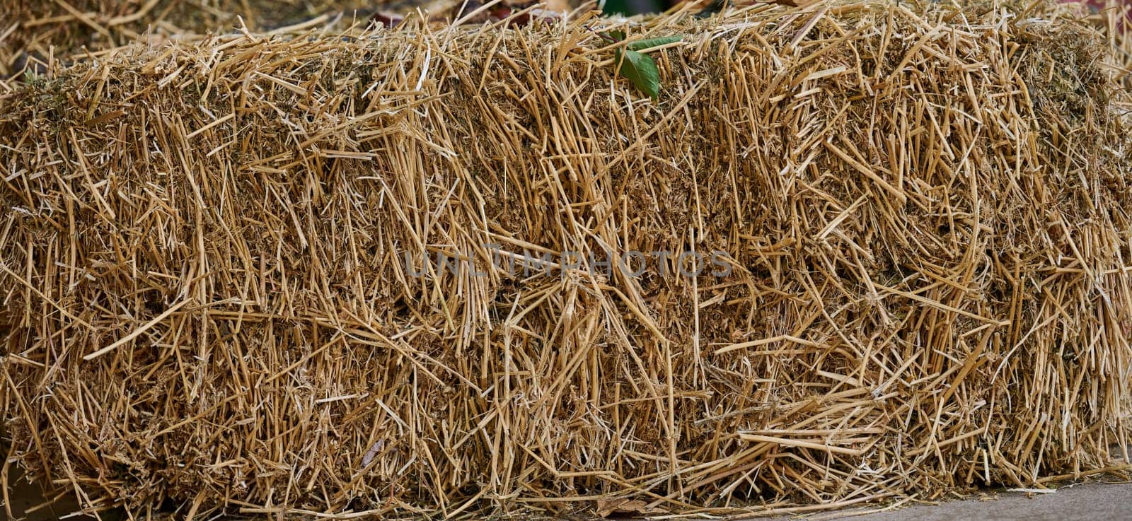 Pressed bale of dry straw outdoors