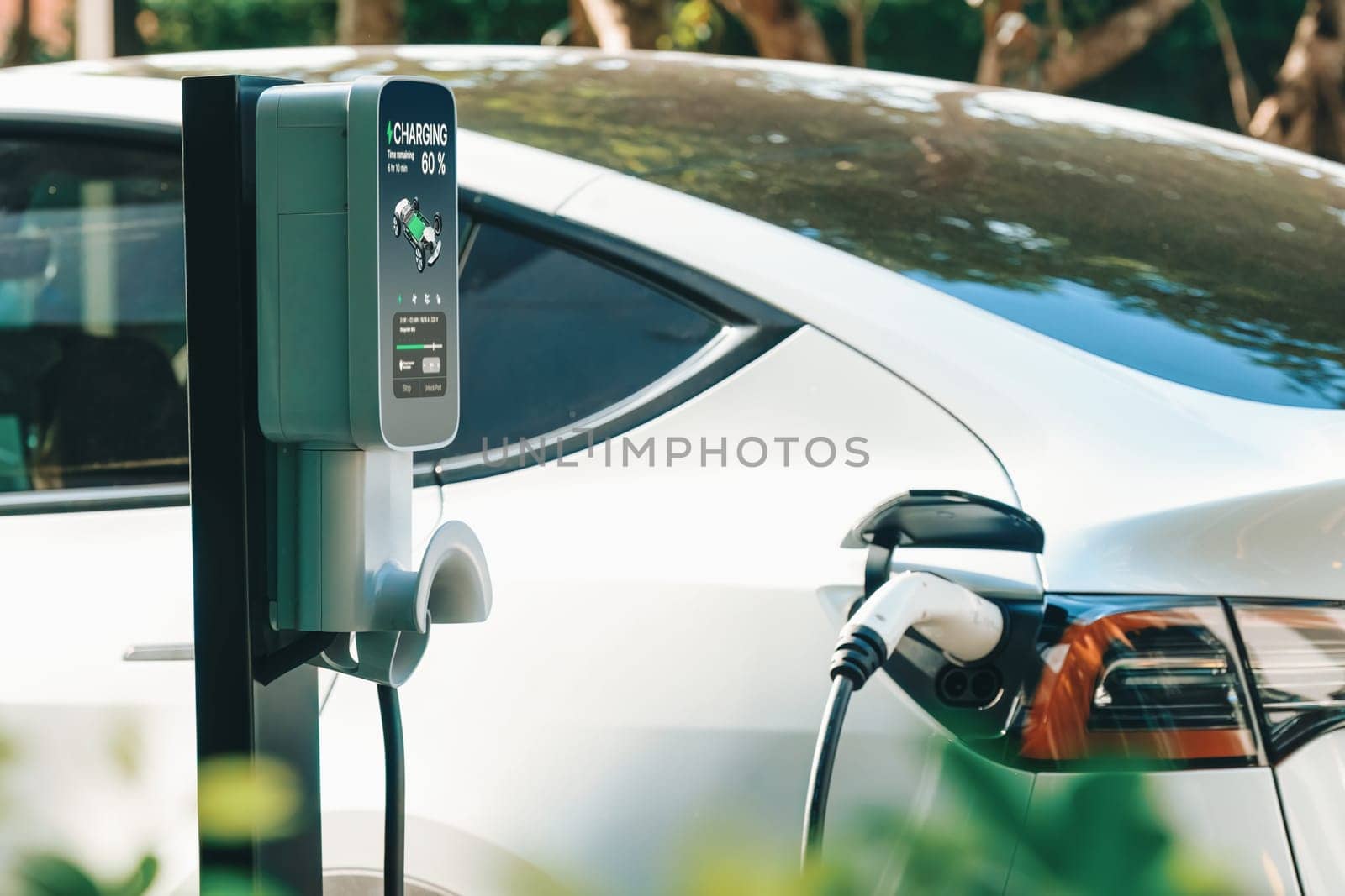 EV electric car charging in green sustainable city outdoor garden in summer. Urban sustainability lifestyle by green clean rechargeable energy of electric BEV vehicle innards