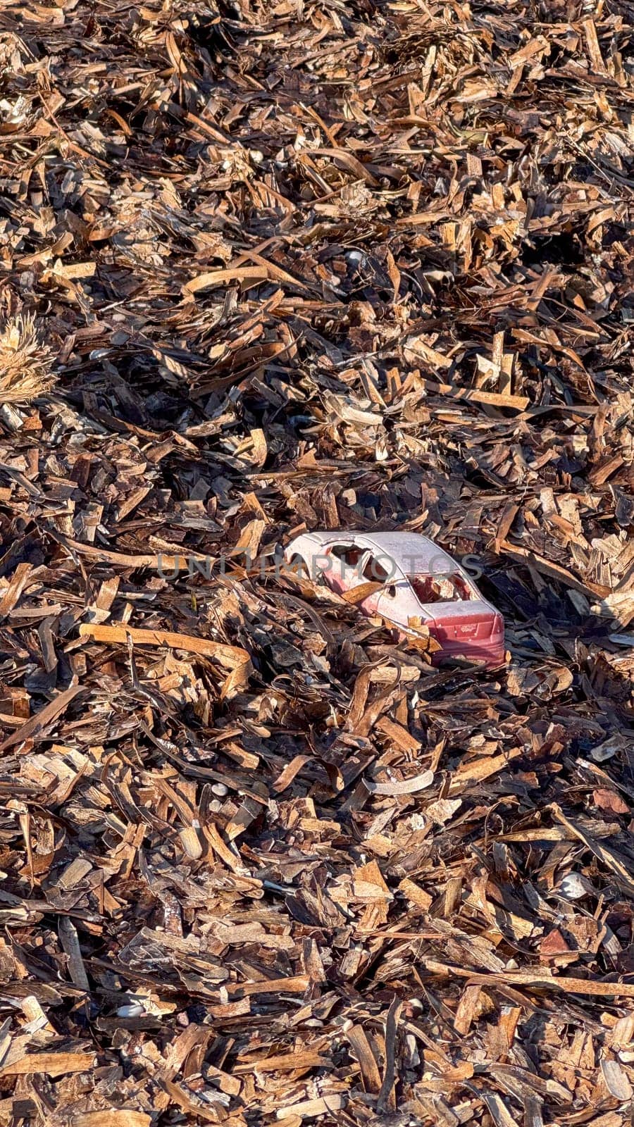A weathered toy car in red and white lies partially buried in a pile of brown chips, sand and algae after a storm.