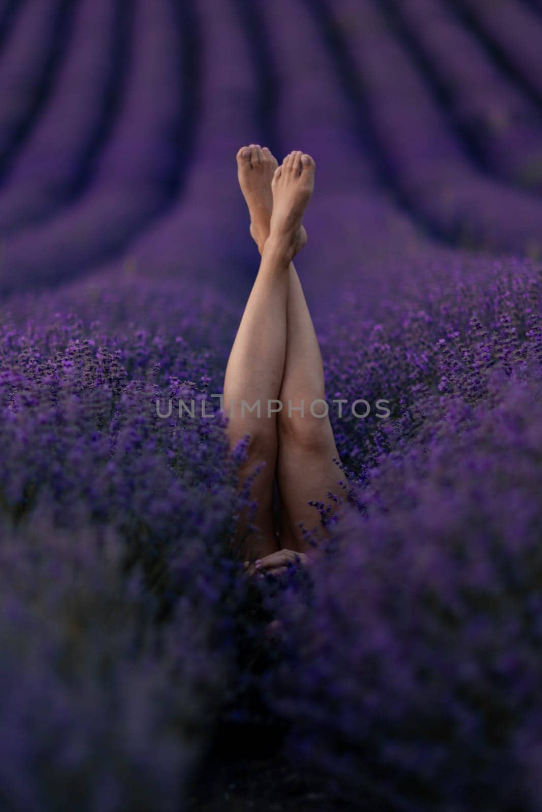 Here's a caption under 150 characters: > Legs crossed, ankles touching, emerge from a dense, purple lavender field. The scene is serene, legs are the focal point.