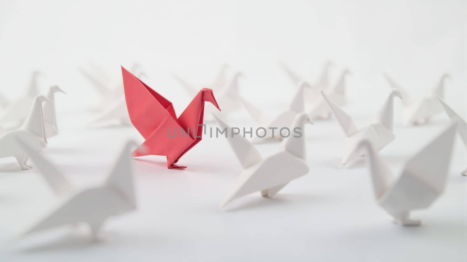 A vibrant red origami bird takes center stage among a flock of white paper birds, symbolizing individuality and creativity. This artistic display captures attention and sparks imagination.