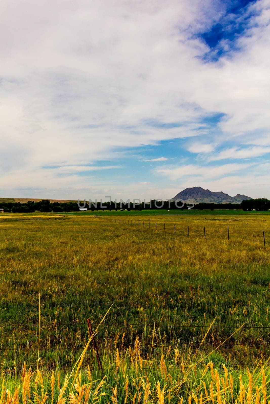Views at Bear Butte State Park, South Dakota in Summer