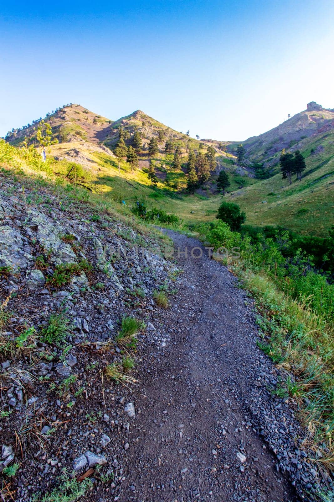 Views at Bear Butte State Park, South Dakota in Summer