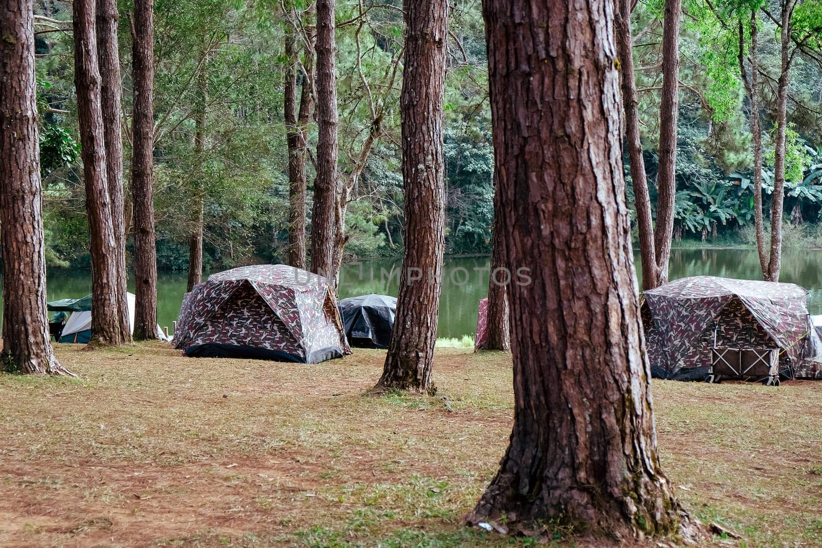Camping on the lake in the pine forest at Pang Tong Under Royal Forest Park ( Pang Ung ), Mae Hong Son, Thailand. Pang Ung is a popular place to stay in a camping in the winter.