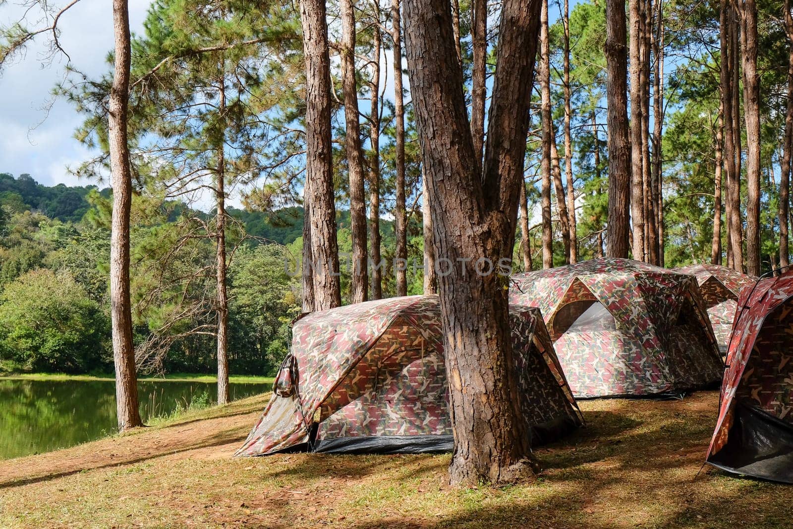 Camping on the lake in the pine forest at Pang Tong Under Royal Forest Park ( Pang Ung ), Mae Hong Son, Thailand. Pang Ung is a popular place to stay in a camping in the winter.