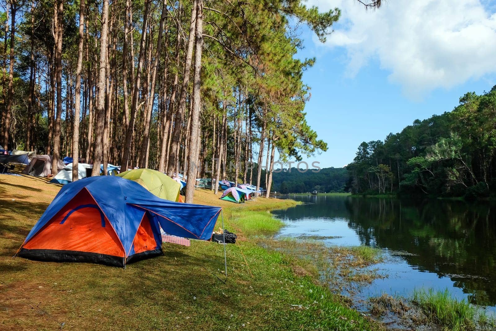 Camping on the lake in the pine forest at Pang Tong Under Royal Forest Park ( Pang Ung ), Mae Hong Son, Thailand. Pang Ung is a popular place to stay in a camping in the winter.