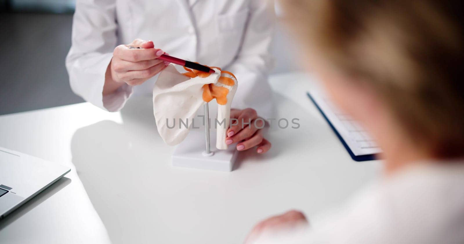 Chiropractor Doctor Consultation In Physiotherapy Clinic Or Hospital