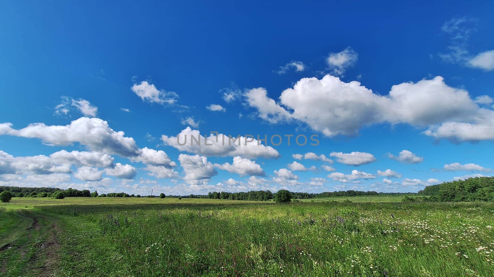 Vibrant summer landscape with blue sky and fluffy clouds in a green meadow.