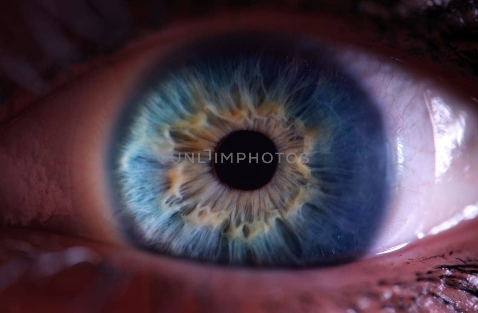 This is a stunning and detailed closeup image that showcases the vibrant colors and intricate patterns of an eye