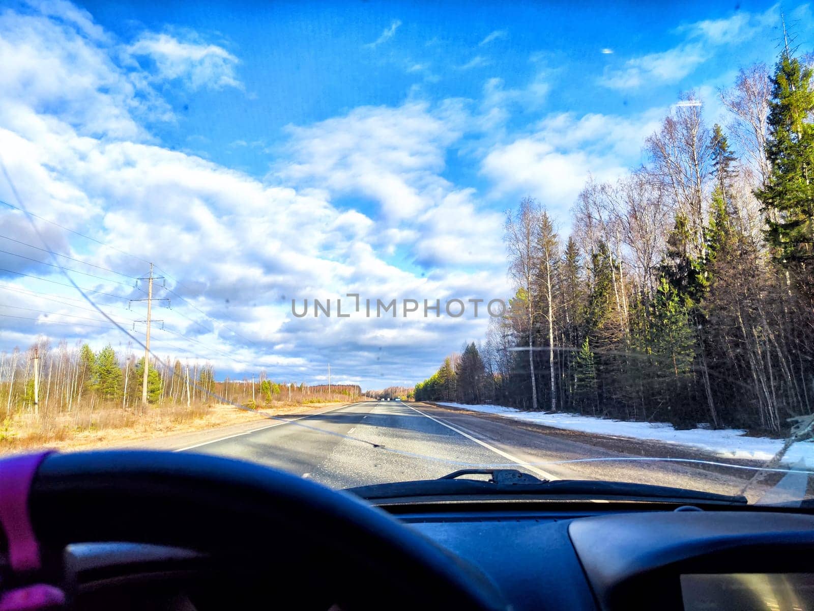View through a damaged windshield shows a driver navigating a highway surrounded by trees, highlighting the risks of poor visibility while driving.