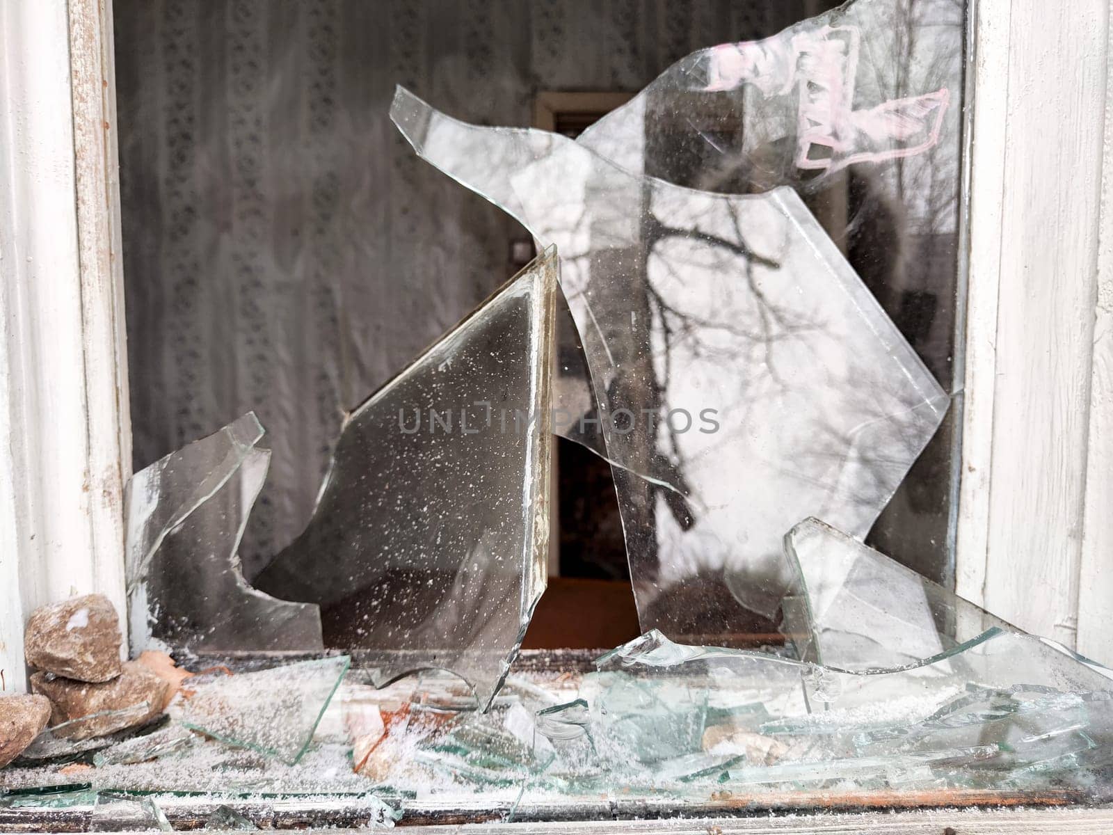 Shattered glass from a window reveals an abandoned room while reflecting tree branches outside on a cloudy day.