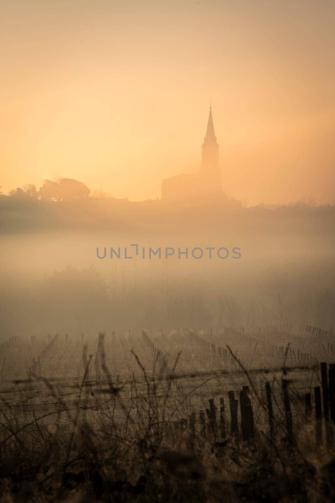A serene vineyard landscape unfolds in Tabanac, Gironde, as the sun rises behind the hills. The winter fog envelops the vines, casting a mystical glow with warm orange tones