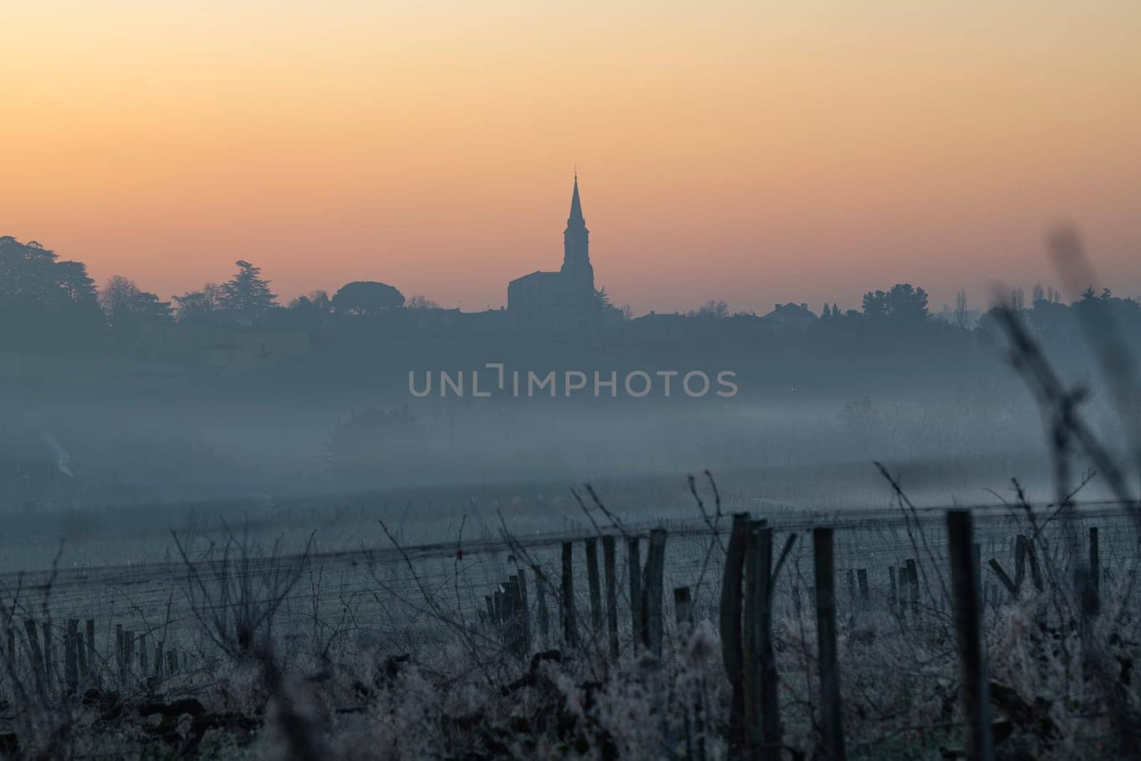 A serene vineyard landscape unfolds in Tabanac, Gironde, as the sun rises behind the hills. The winter fog envelops the vines, casting a mystical glow with warm orange tones