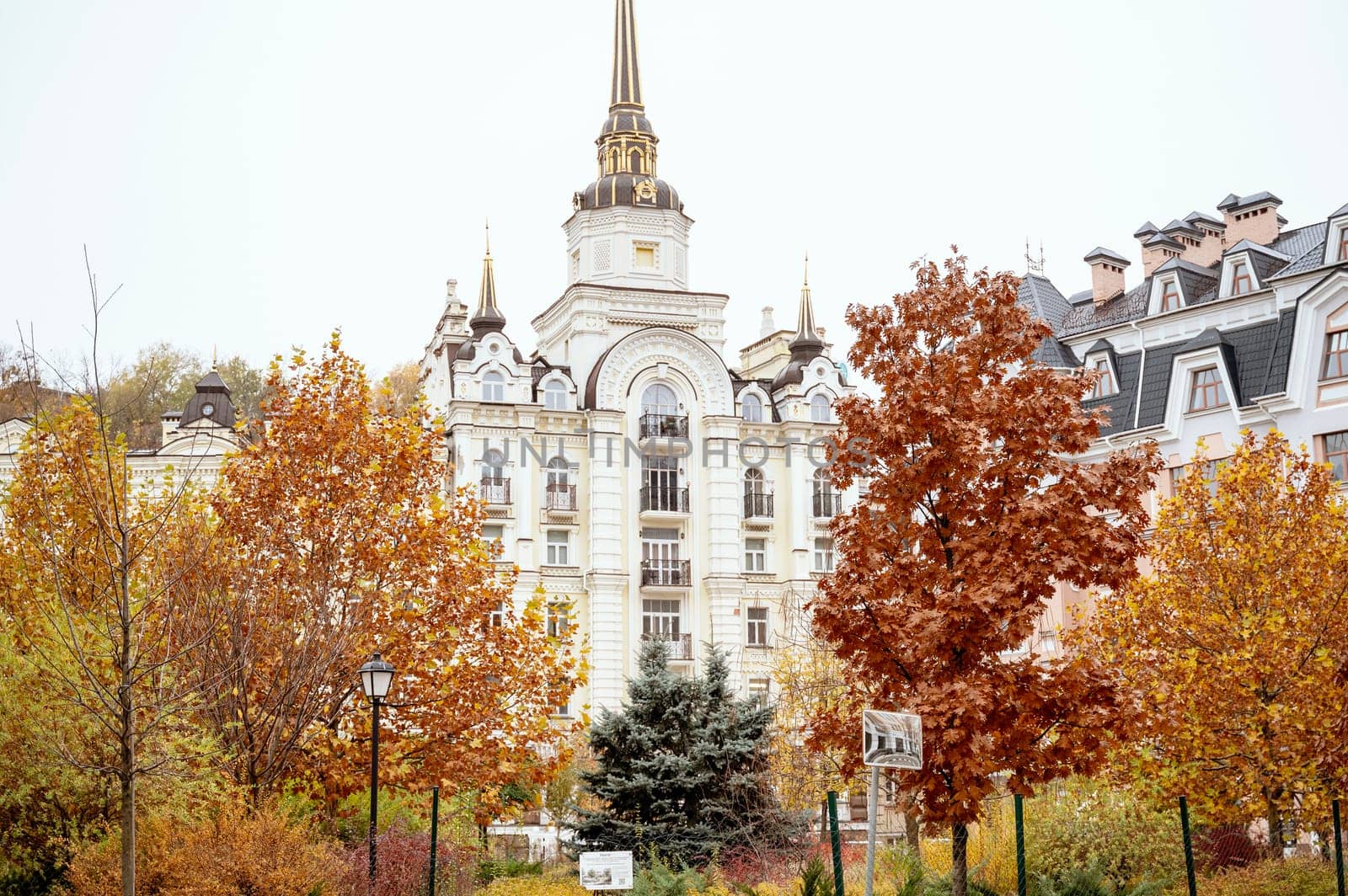bright autumn in a residential area. bright yellow and red trees in the foreground. residential building in the distance. yellow trees are maple and birch and a pine tree grows.