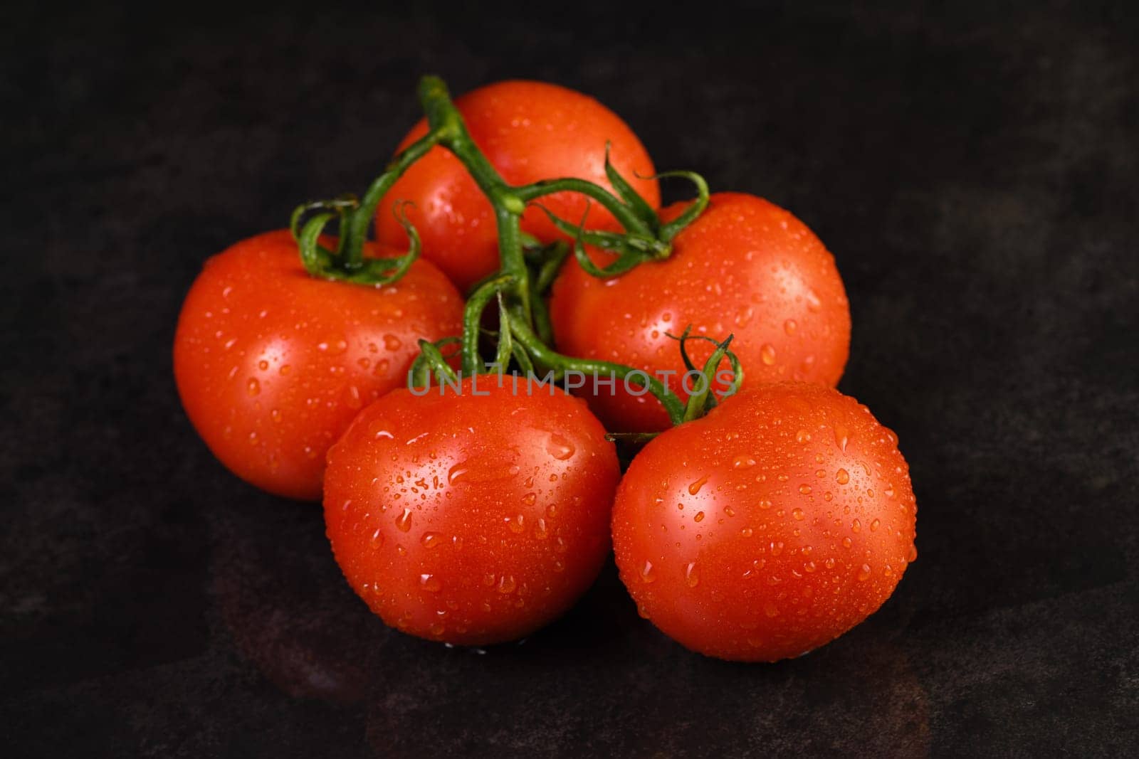 Fresh ripe red tomato branch with water drops on a dark background . Close-up. Horizontal photo. Poster for vegetable market or shop.