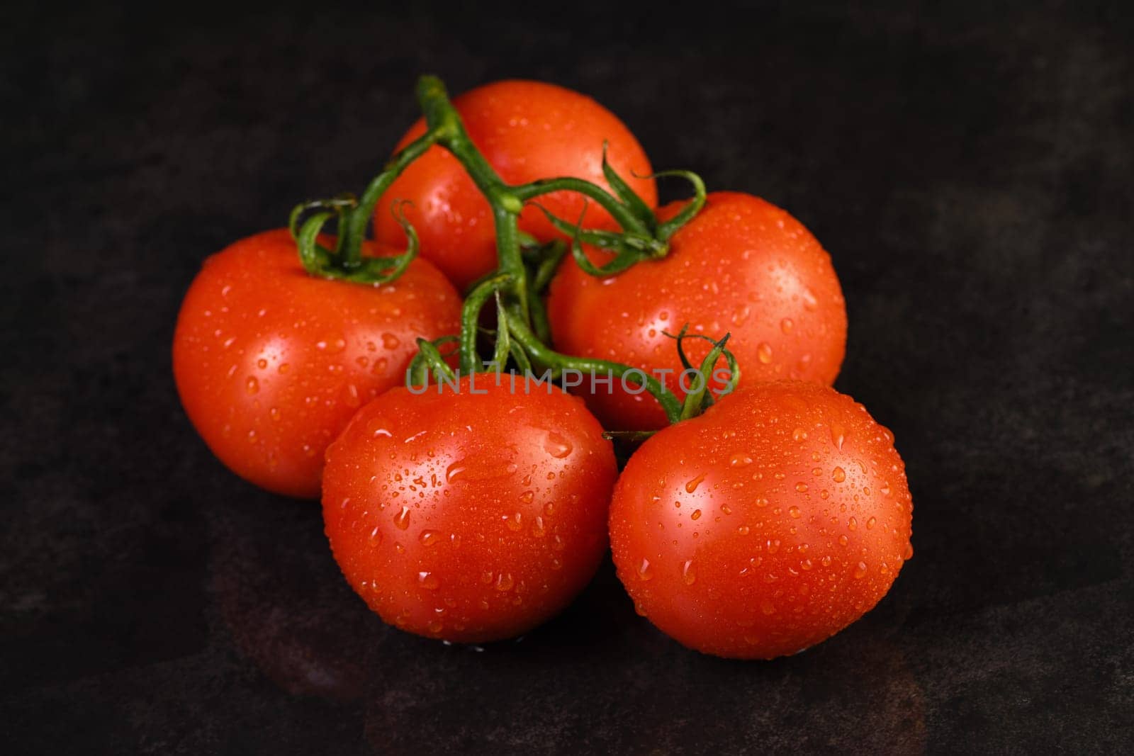 Fresh ripe red tomatoes branch by Apolonia