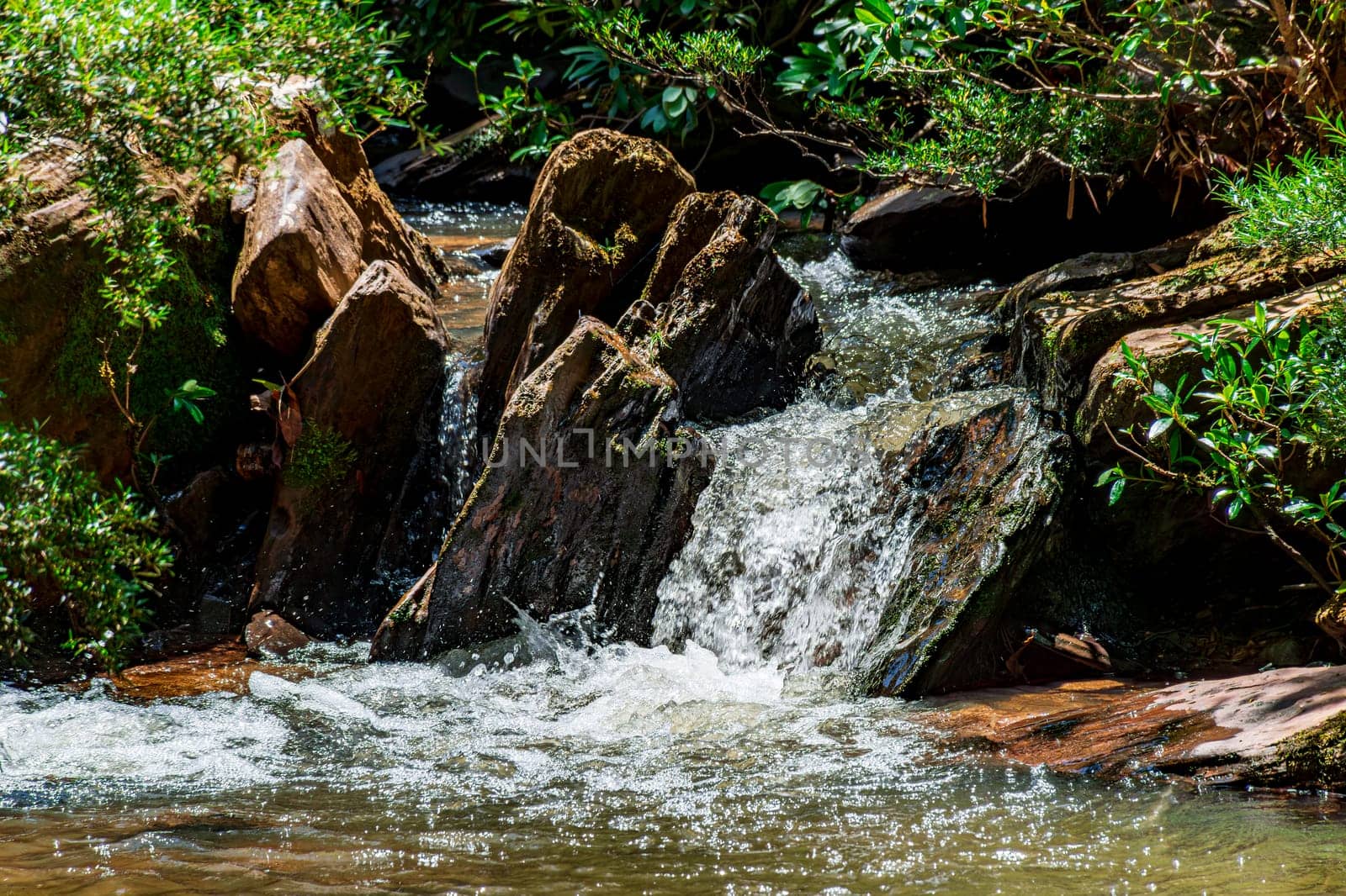 River running through the forest among the rocks and vegetation in the state of Minas Gerais, Brazil