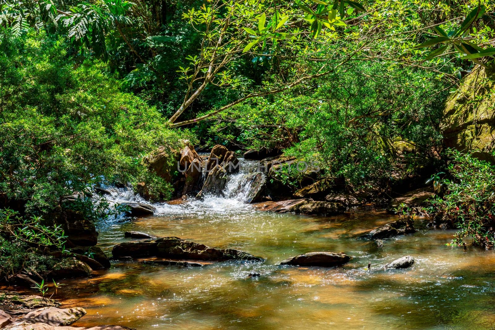 Small river running through the forest among the rocks and vegetation in the state of Minas Gerais, Brazil