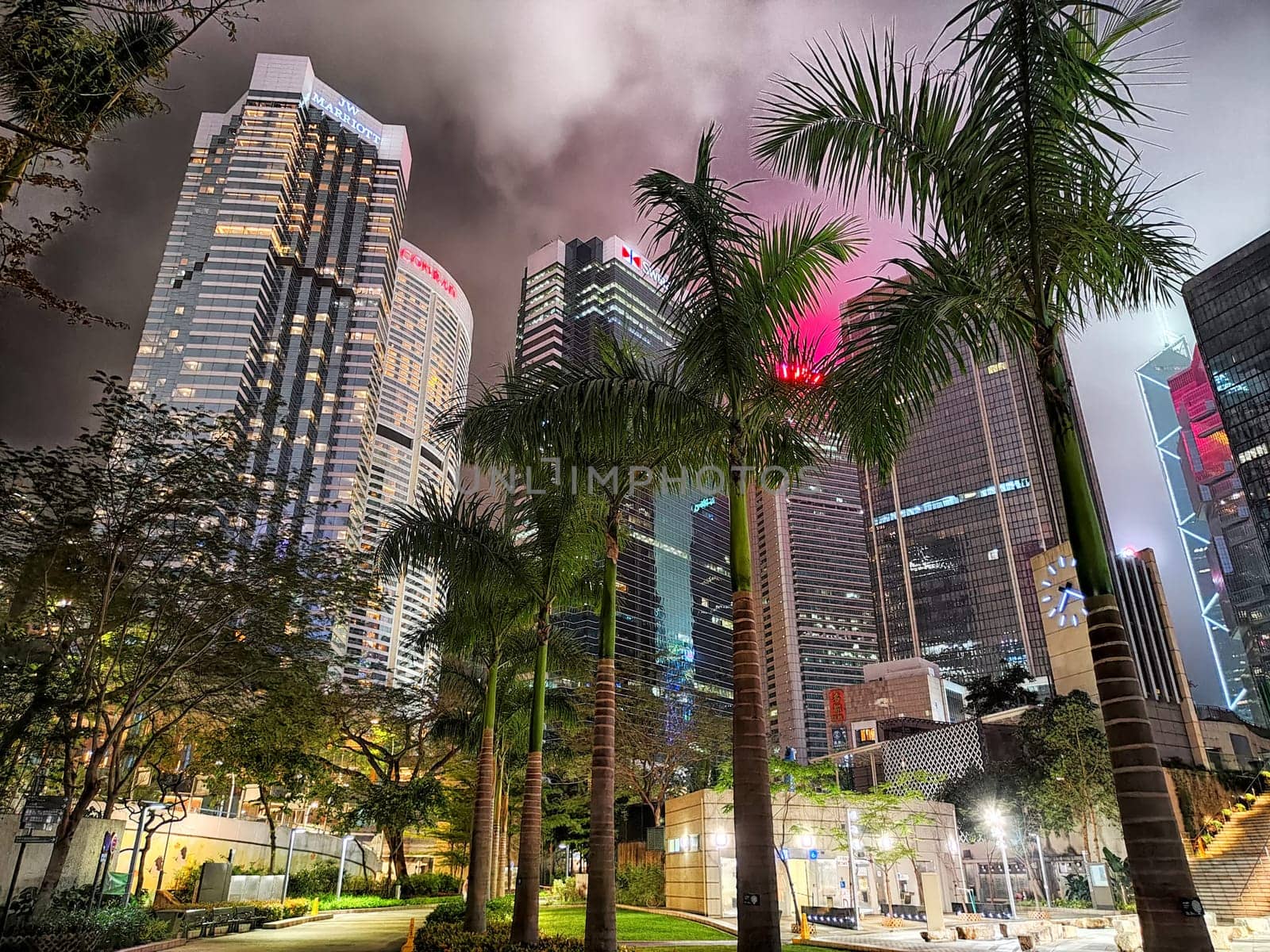 Hong Kong, China - April 06, 2024 - Tall skyscrapers tower over palm trees, showcasing the vibrant nightlife of Hong Kong's bustling streets.
