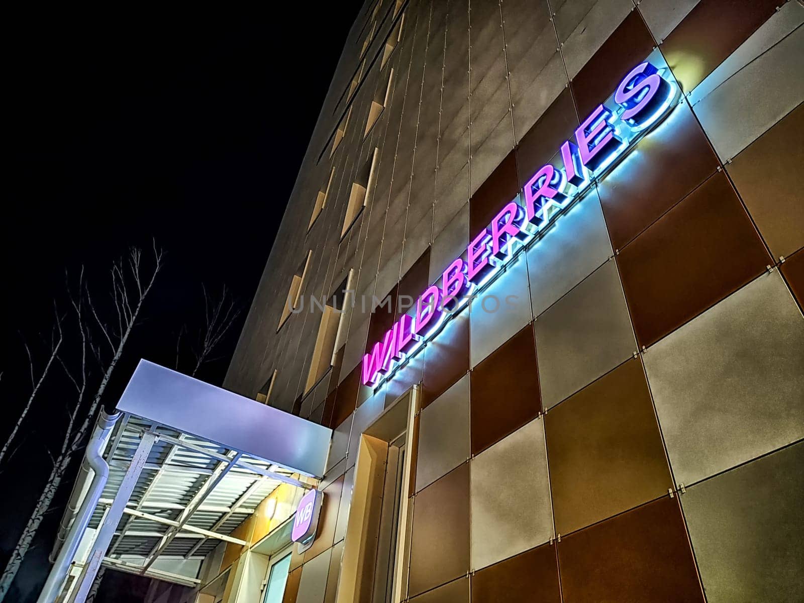 Kirov, Russia - November 12, 2024: Illuminated signage of an online store featuring modern design elements in a vibrant color palette during nighttime.