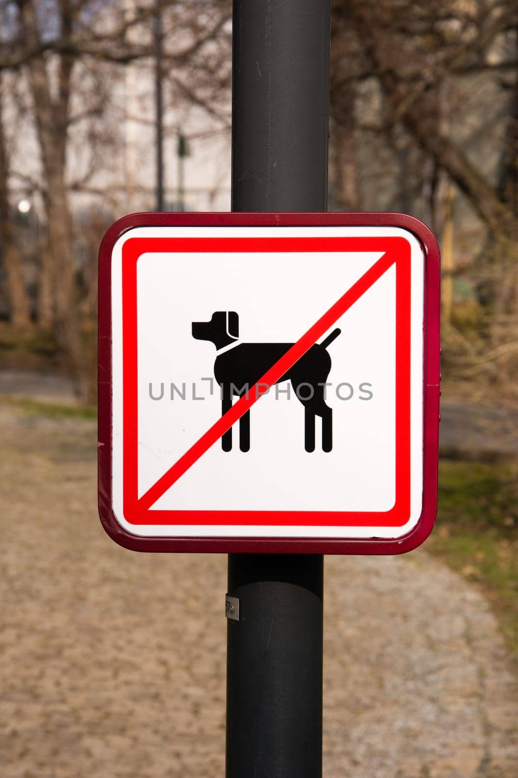 No Dogs Sign in park