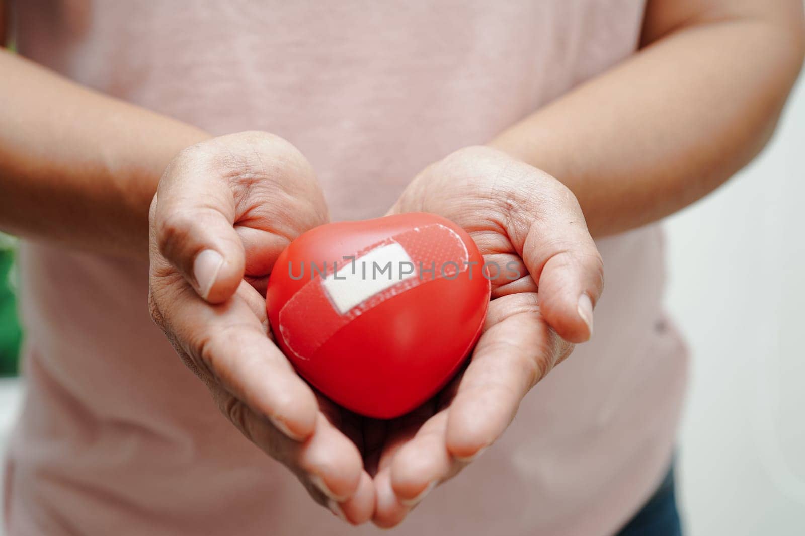 Asian woman holding human internal organ model, donation charity volunteer concept. 