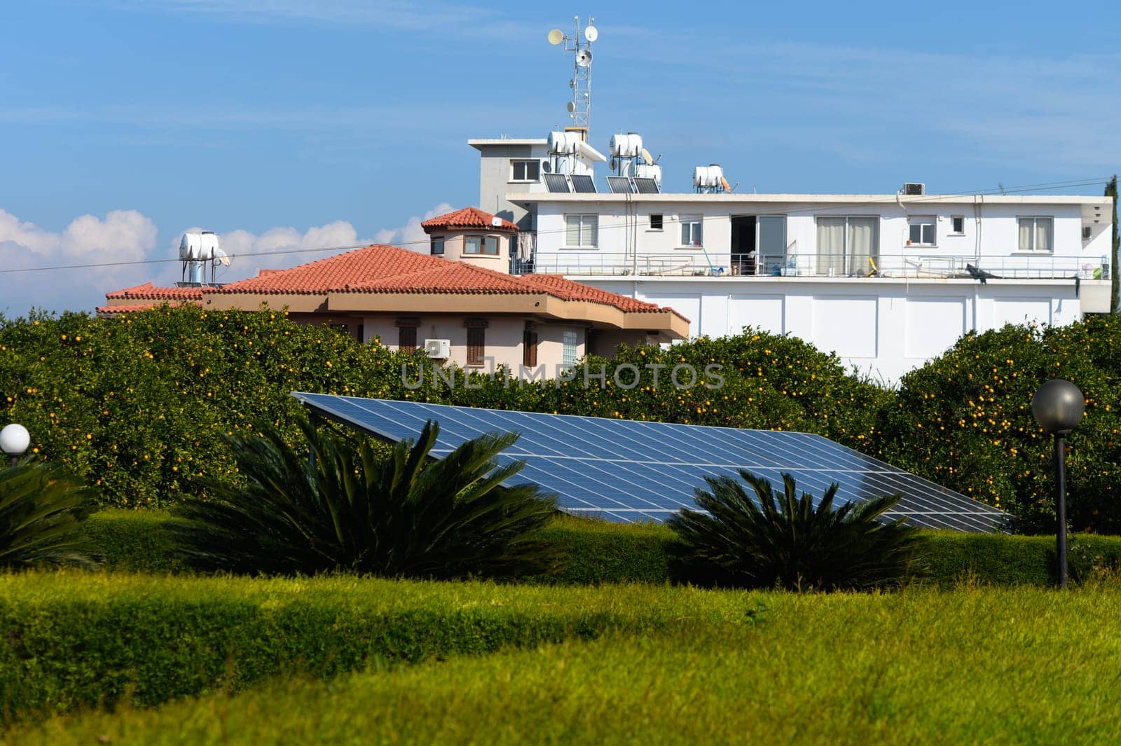 Bright sunshine illuminates solar panels while modern buildings rise behind flourishing tropical plants and trees.