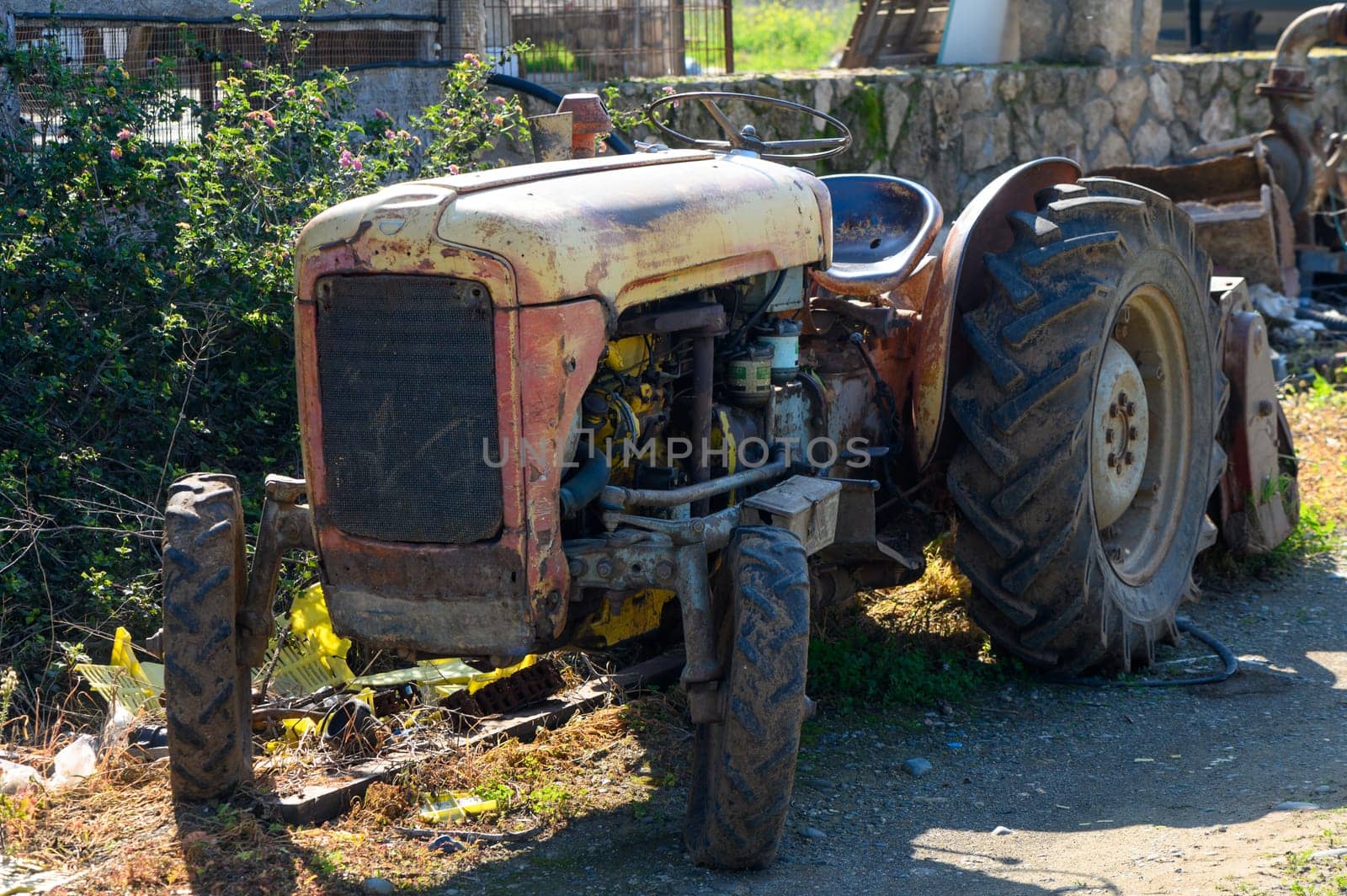 Rusting tractor sitting idle beside a path surrounded by wild plants, evoking nostalgia for rural life.