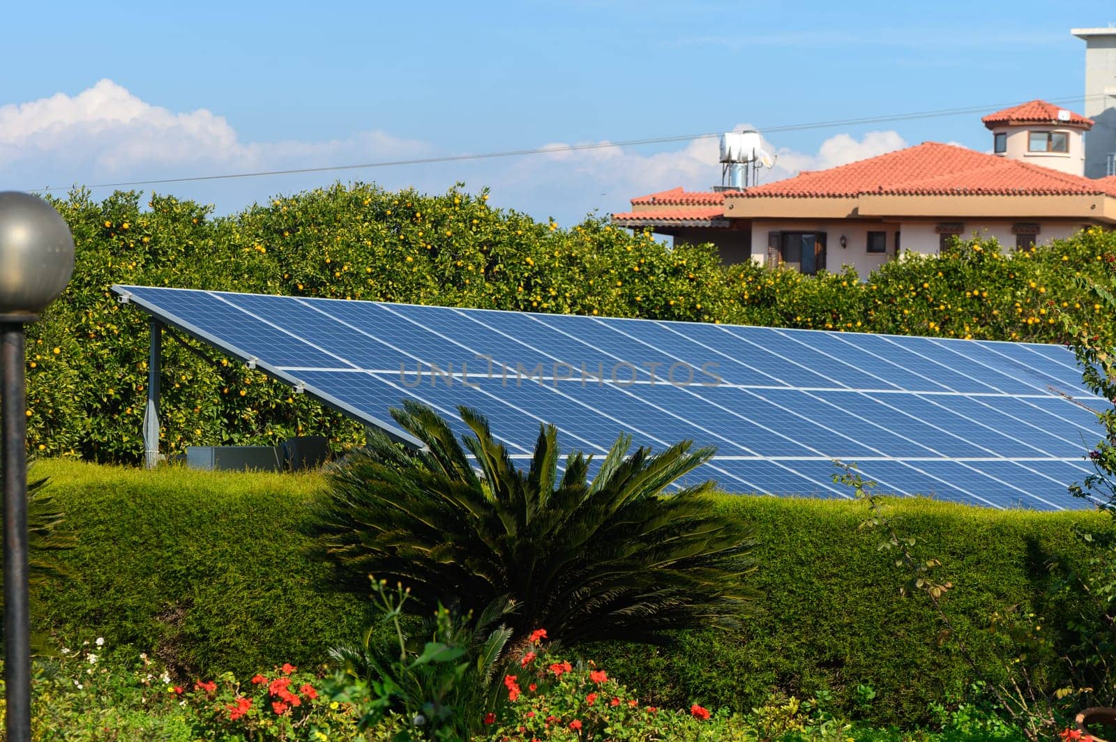 Solar panels gleam under the bright sun, surrounded by lush greenery and colorful flowers in a tranquil garden setting.