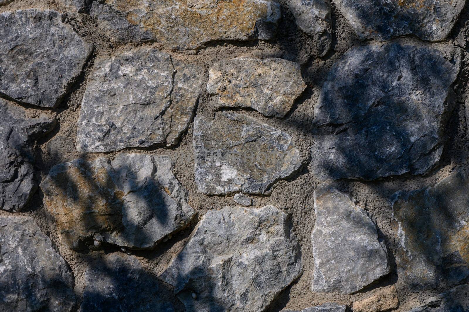 Sunlight filters through branches, casting lovely shadows on a textured stone wall, showcasing nature's beauty.
