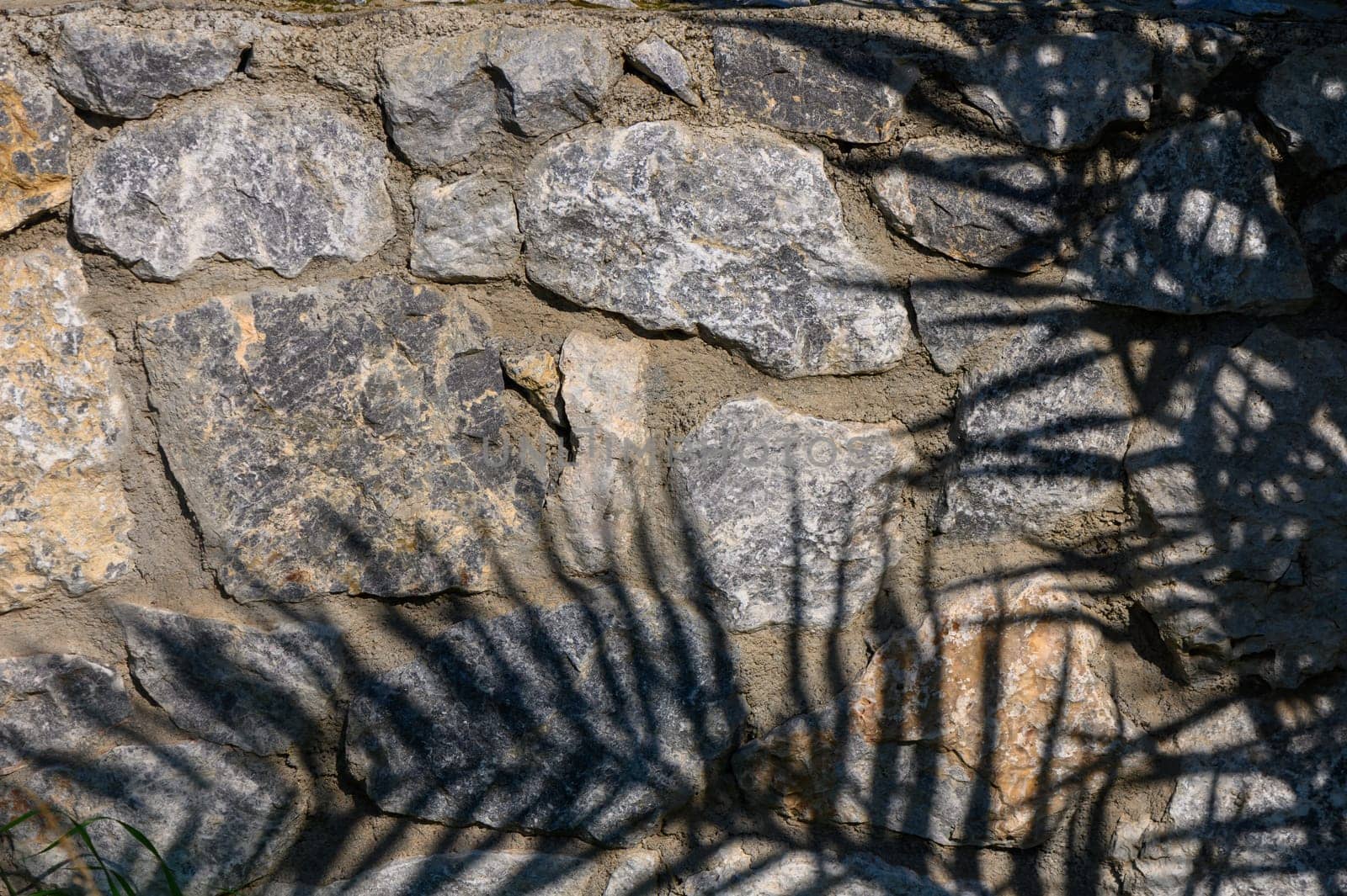 Palm fronds cast intricate shadows on a textured stone wall under a bright sunlit sky.