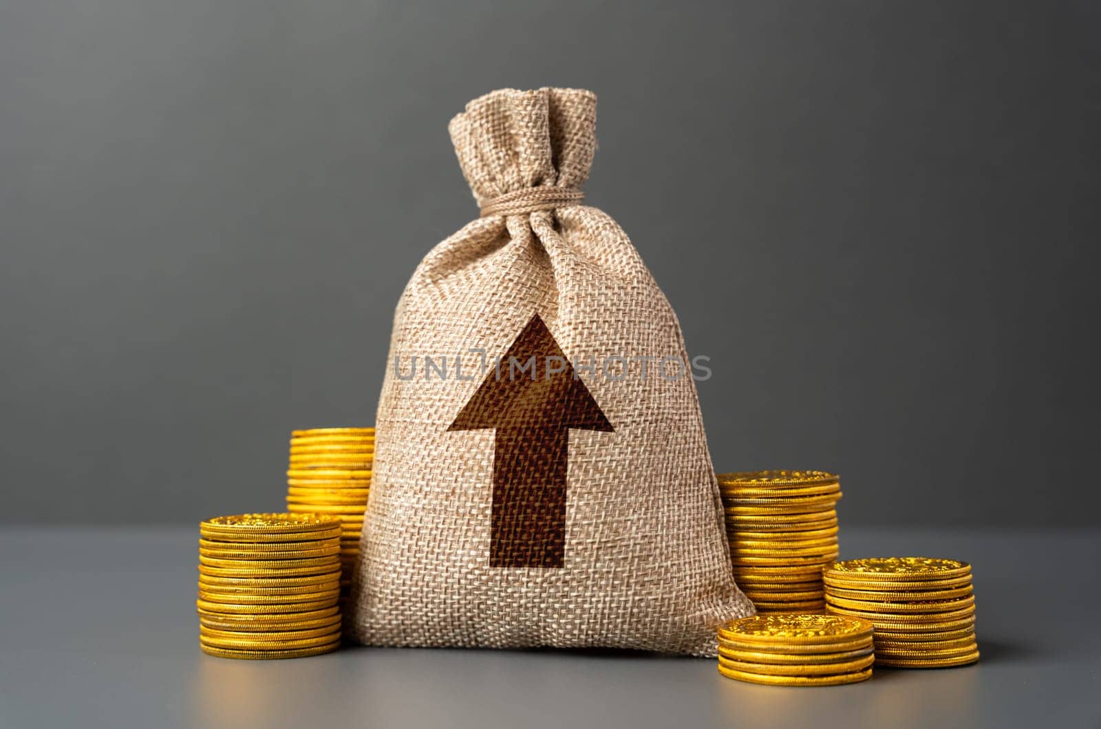 Money bag with up arrow. Rise of profits. Increase in the deposit rate. Inflation acceleration. Investments. Increase income and business efficiency. Economic growth, GDP.